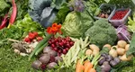 Leguma rară pe care o caută toți românii pentru gustul ei dulceag. Costă 4 lei kilogramul și se cultivă doar într-o localitate: „Am înregistrat-o la OSIM”