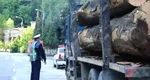 Se confiscă maşinile care transportă ilegal lemn. Noul Cod Silvic, publicat în Monitorul Oficial, conţine prevederi drastice