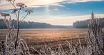 Prognoza meteo 24 ianuarie. Vreme mohorâtă și ploi în jumătate de țară și vreme de primăvară în București și regiunile sudice