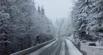 Prognoza meteo 23 ianuarie. Vreme anormală în România: ninsori în vest și nord, temperaturi de primăvară în restul țării