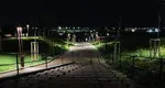 O tânără a născut pe o stradă din zona Parcului Tei, în București. Bebeluşul nu a supravieţuit