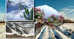 Meteorologii Accuweather au actualizat prognoza. Temperaturile de până la 20 de grade ne anulează orice speranță de a mai vedea zăpada în perioada următoare