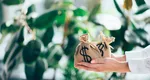 Horoscopul norocului. Cele două zodii care vor atrage bogăţia ca un magnet până în 2027. Torente de belşug în anii următori