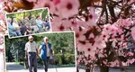 Pensii 2025. Cine sunt românii care primesc a 13-a pensie, în sumă fixă de 800 de lei