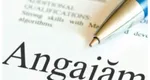 Angajări la stat 2025. Lista locurilor de muncă disponibile anul acesta. Mii de posturi sunt vacante