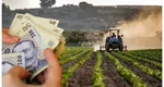 1.200 de lei pe card pentru proprietarii de terenuri. Ce condiții trebuie să îndeplinească