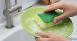 Cât de des trebuie schimbat buretele de vase pentru a nu deveni cuib de bacterii. Metoda prin care reduci semnificativ riscul de contaminare
