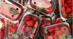Ce ingredient trebuie să folosești atunci când speli căpșunile pentru a le menține proaspete