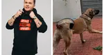 Ce recompensă oferă Codin Maticiuc celui care îi va găsi câinele. Banii se dau cash: ”Cineva a uitat poarta deschisă și a fugit”