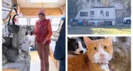 Povestea femeii din București care trăiește într-o rulotă cu 45 de pisici: ”Le-am luat să le castrez și am rămas cu ele”