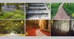 Test de personalitate. Alege un drum din imagine și află ce-ți rezervă anul 2025