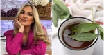 Ceaiul din frunze de dafin, beneficii uimitoare pentru organism. Florentina Opriș: „Se prepară foarte simplu”