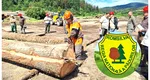Indemnizaţii reduse de la 12.500 la 5.000 de lei brut la Romsilva. Noi membri în CA