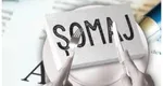 Indemnizație de șomaj 2025. Cât primesc românii, în funcție de salariu și vechime