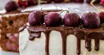 Un desert special pentru zilele de iarnă cu ninsoare. Tortul cu fructe congelate „Lemne sub zăpadă”