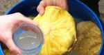 Cura cu zeamă de varză murată topeşte kilogramele şi întăreşte imunitatea. Cum trebuie consumată licoarea ca să scapi de problemele de tranzit intestinal