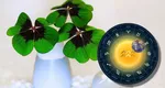 5 zodii care funcționează ca un talisman natural pentru cei din jur. Sunt bune de pus pe rană
