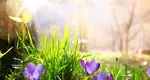 Evenimente astrologice APRILIE 2025. Lună-punte între vechi și noum, Universul are planuri cu fiecare