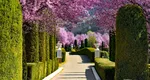 S-a deschis cea mai frumoasă grădină cu flori din România. Este un paradis în stil italian ce fură toate privirile