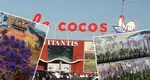 „La Cocoș” dă lovitura de grație supermarketurilor concurente, în martie. Super-ofertă incredibilă în „luna femeii”