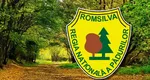 Șefii Romsilva se apără în scandalul sporurilor și al bonusului de 100.000 de euro la pensionare. ”Ne-a făcut mult rău”. Cât ar încasa, de fapt, directorii și angajații regiei