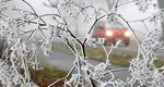 Prognoza meteo. Brumă şi îngheţ la sol, iarna mai stă puţin în România. Primăvara iese din ceaţă abia în weekend