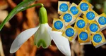 Horoscop 7 martie 2025. Apar oportunităţi pe care nu ar trebui să le ratezi
