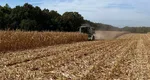 Carmistin The Food Company va prelua divizia de nutriție animală din România a Cargill
