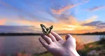 HOROSCOP special: 3 ZODII care închid un capitol important la finalul lunii martie. Ce alte uși se deschid