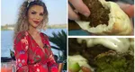 Falafel de post, rețetă dezvăluită de Alina Laufer: „Este un fel de chifteluță, făcută din năut”