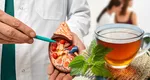 Cele mai recomandate ceaiuri pentru prevenirea și tratarea calculilor renali