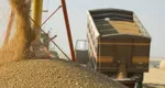 Exporturile de cereale ale UE, în scădere puternică. România a fost cel mai mare exportator