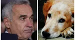 Călin Georgescu ar fi împușcat un câine în armată, de nervi. Dezvăluirile tulburătoare făcute de Cristian Sima