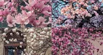 Cum se îngrijește magnolia pentru a te bucura de flori superbe primăvara