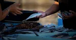 Care este cel mai sănătos pește din lume. Nu este somon și nici merluciu și conține mai mulți nutrienți decât legumele