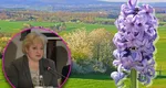 Un anticiclon aduce zile însorite și ține la distanță ploile de România. Florinela Georgescu a citit hărțile meteo pentru luna aprilie