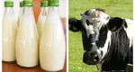 România interzice importurile de lapte și carne din Ungaria. Anunțul de ultimă oră făcut de autorități