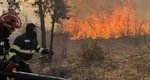 VIDEO Incendii de vegetație în șase județe, o femeie a fost găsită carbonizată! Raed Arafat cere ajutor preoților