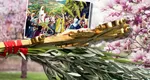 Cum va fi vremea de Florii. ANM a actualizat prognoza meteo pentru 31 MARTIE – 13 APRILIE