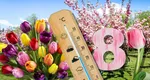 Prognoza meteo sâmbătă 8 martie 2025. Cum va fi vremea de Ziua Femeii