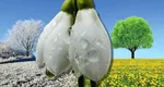 Prognoza meteo 20 martie. Temperaturi de îngheț dimineața și noaptea, vreme de primăvară ziua