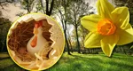 Cum va fi vremea de Paşte. Prognoza emisă de ANM anunţă ploi în toată ţara