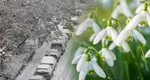 Meteorolgii AccuWeather anunță „zăpada mieilor” în România. Orașele în care se întorc ninsorile de la jumătatea lunii martie