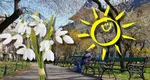 Prognoza meteo 7 martie. Primăvara aduce temperaturi de până la 23 de grade în România