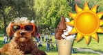 Prognoza meteo 22 martie 2025. Vremea se încălzește spectaculos în România, temperaturi de tricou și în Capitală