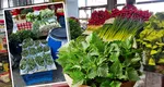 Urzicile au preţuri usturătoare în piețe. Un kilogram de urzici costă dublu față de anul trecut