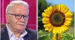 Horoscopul florilor în funcție de ziua nașterii. Mihai Voropchievici: „Ele sunt persoanele guvernate de floarea soarelui”
