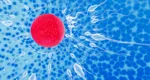 Infertilitatea, o provocare comună în cuplu – Cum ajută fertilizarea in vitro?