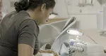 Un investitor olandez, furnizor Ikea, a deschis o fabrică în România și a făcut primele angajări