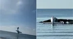 Avion prăbuşit în mare. Turiştii de la un hotel de lux au filmat momentul impactului VIDEO